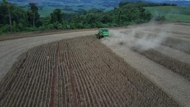 Inicia colheita da soja no Rio Grande do Sul