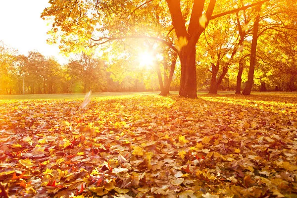 Outono chega com temperaturas acima da media em todas as regioes