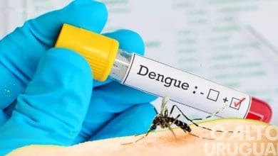 Erechim confirma a 1a morte por dengue